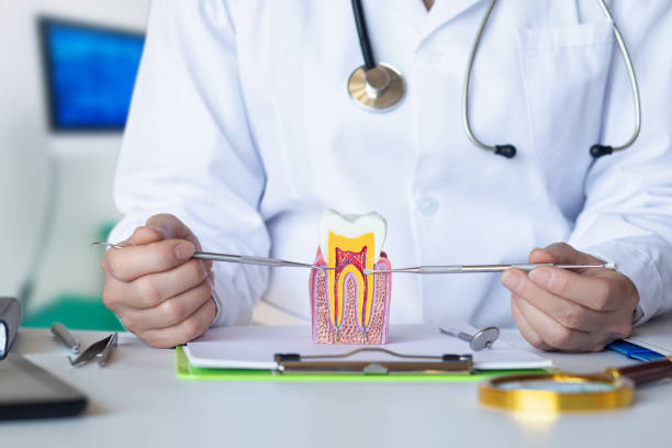 Best Cosmetic Emergency Dentistry in Pahokee, FL